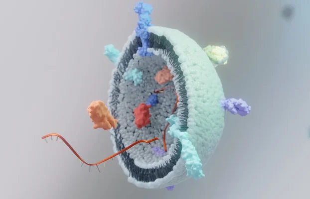 Exosom-Therapie: Innovative Behandlung für Gelenkerkrankungen